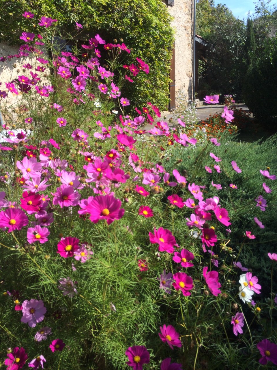 La ferme et les fleurs